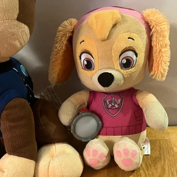 Character Set - Picture 4 of 7